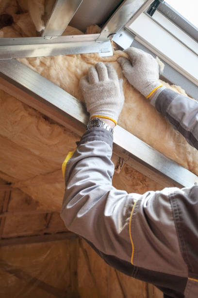 Best Residential Insulation Services  in Cleveland, OH