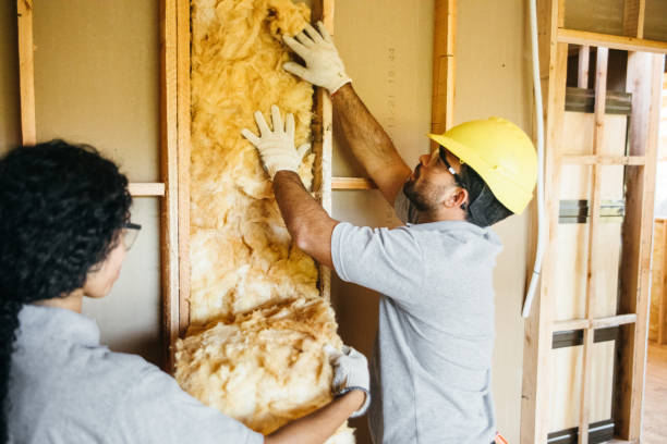 Best Home Insulation Services  in Cleveland, OH