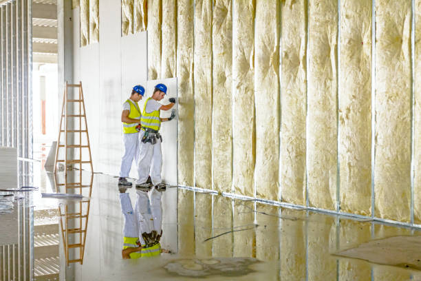 Best Wall Insulation Contractor  in Cleveland, OH